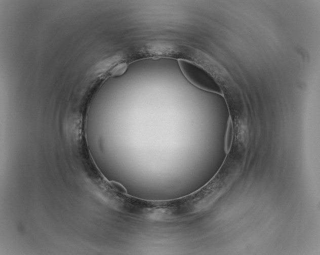 X0000113150356200909041239