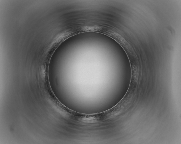 X0000113150357200909041239