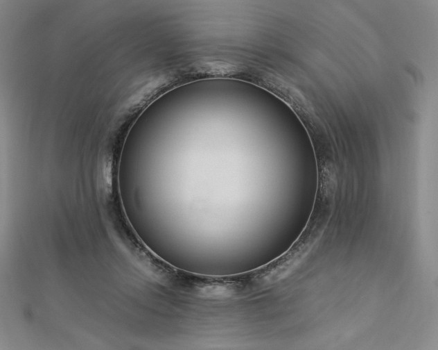 X0000113150358200909041239