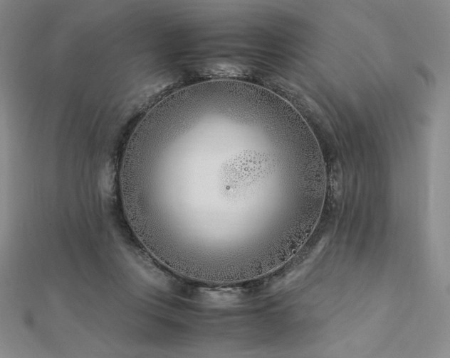 X0000113150359200909041239