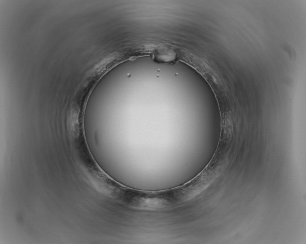 X0000113150360200909041239