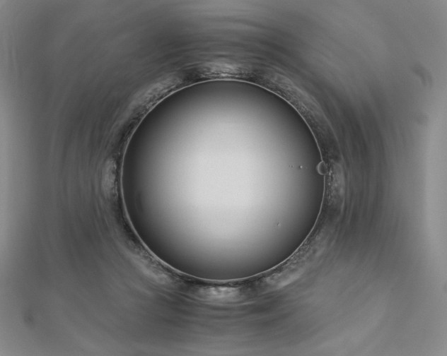 X0000113150361200909041239