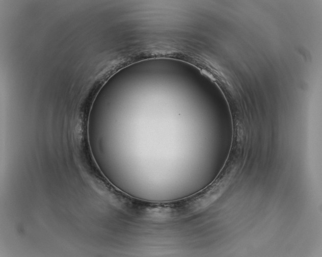 X0000113150362200909041239