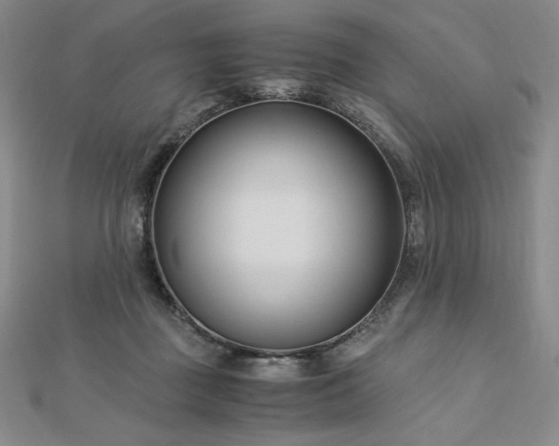 X0000113150363200909041239