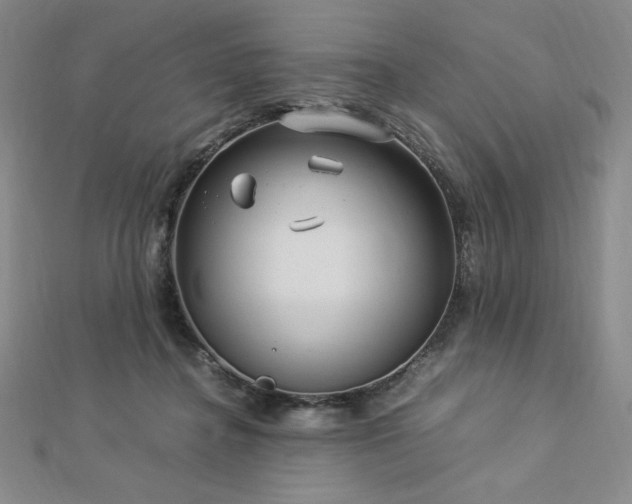 X0000113150364200909041239