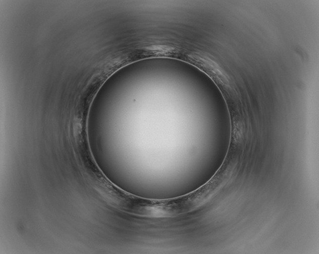 X0000113150365200909041239