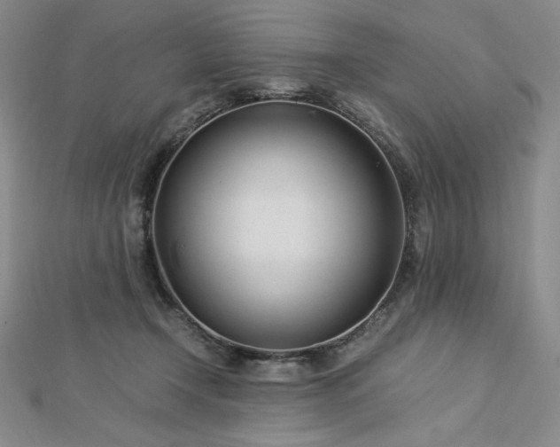 X0000113150366200909041239