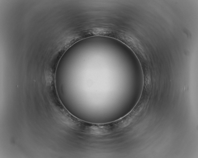 X0000113150367200909041239