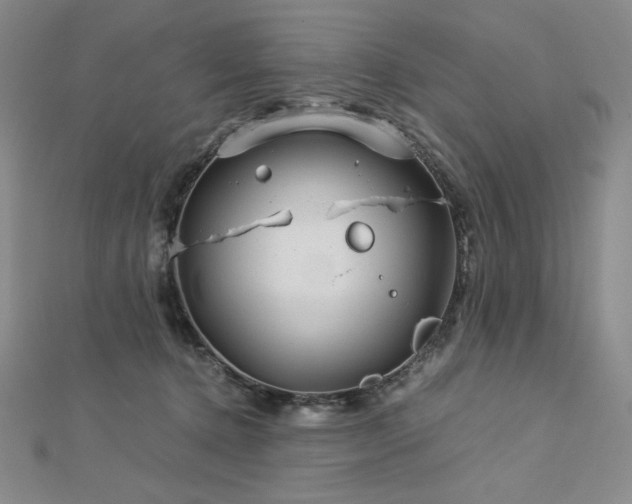 X0000113150368200909041239