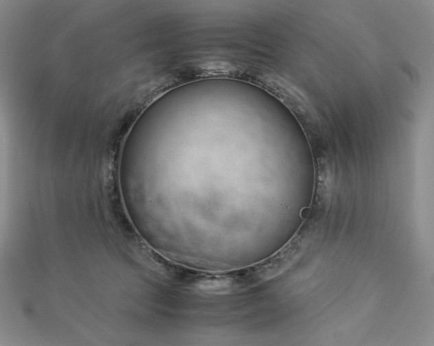 X0000113150369200909041239