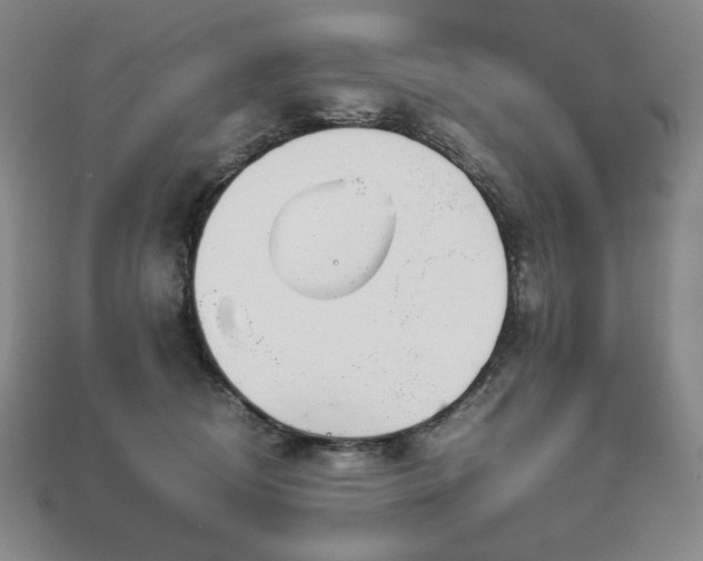 X0000113150370200909041239