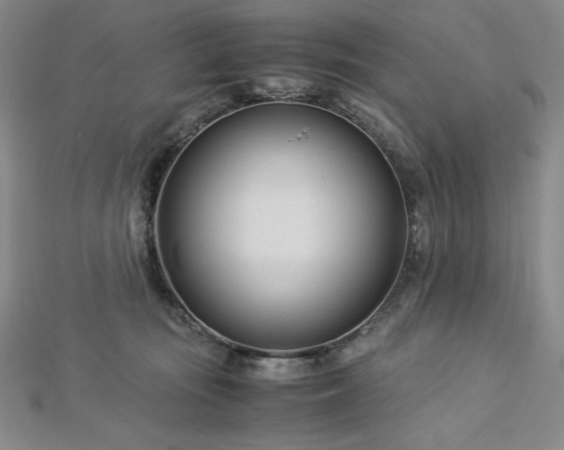 X0000113150371200909041239