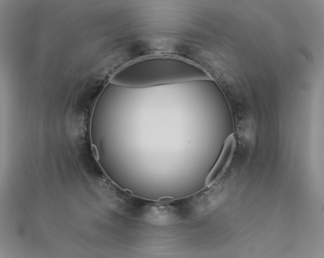 X0000113150372200909041239