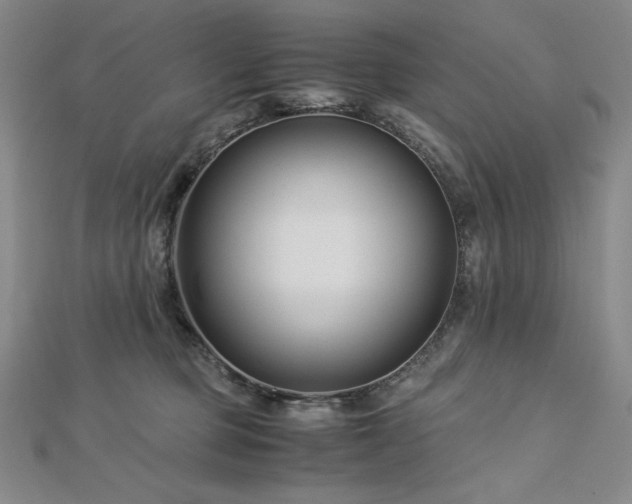 X0000113150373200909041239