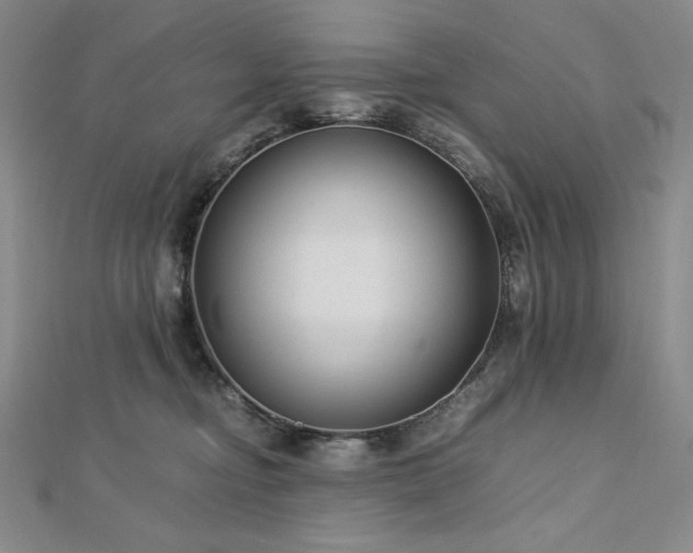 X0000113150374200909041239