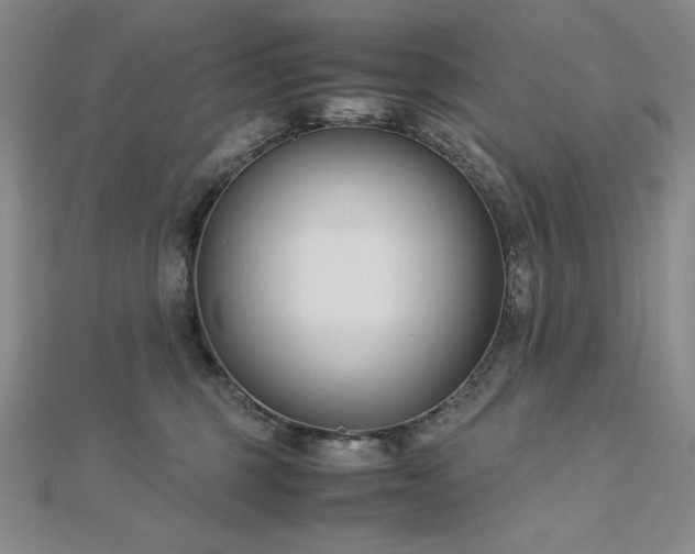 X0000113150375200909041239