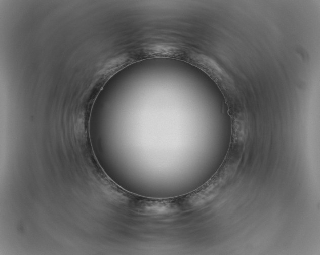 X0000113150377200909041239