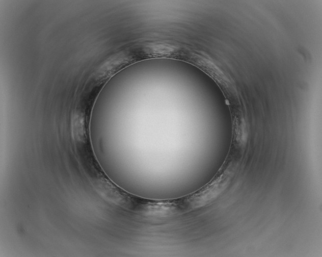 X0000113150378200909041239