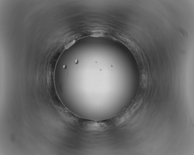 X0000113150379200909041239