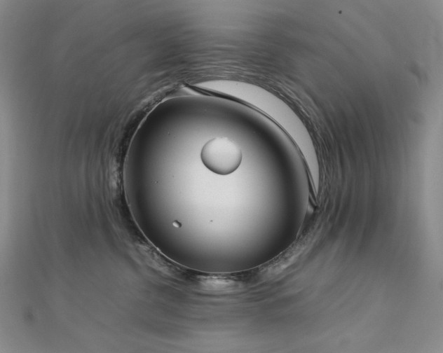 X0000113150380200909041239