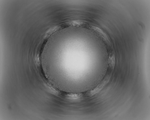 X0000113150381200909041239