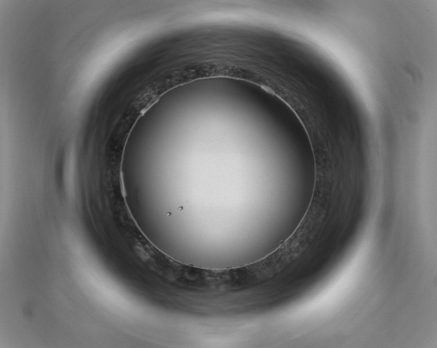 X0000113150382200909041239