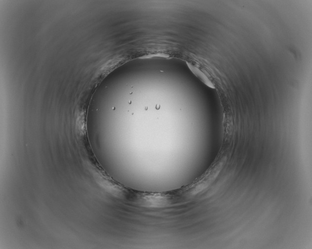 X0000113150383200909041239