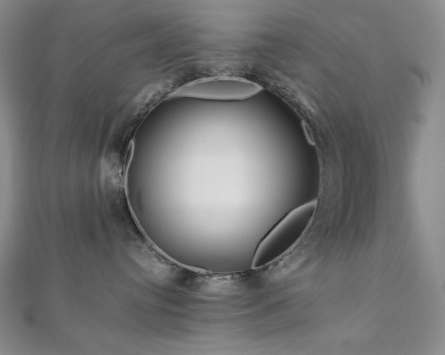 X0000113150384200909041239