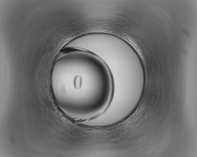 X0000113150385200909041238