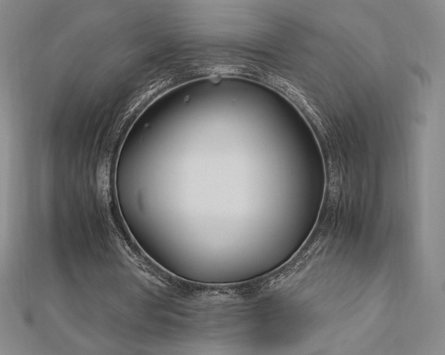 X0000113150386200909041238