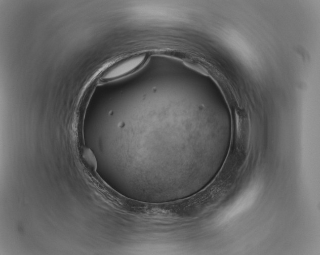 X0000113150387200909041238