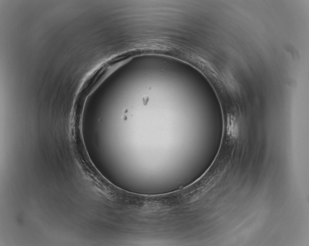 X0000113150388200909041238