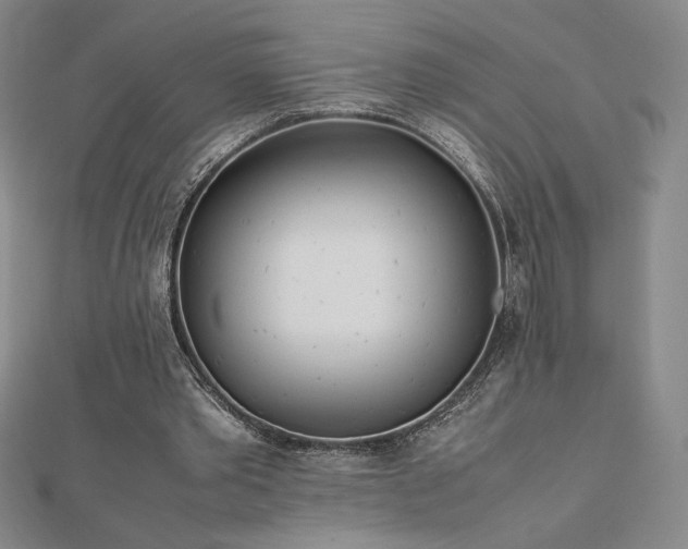 X0000113150389200909041238