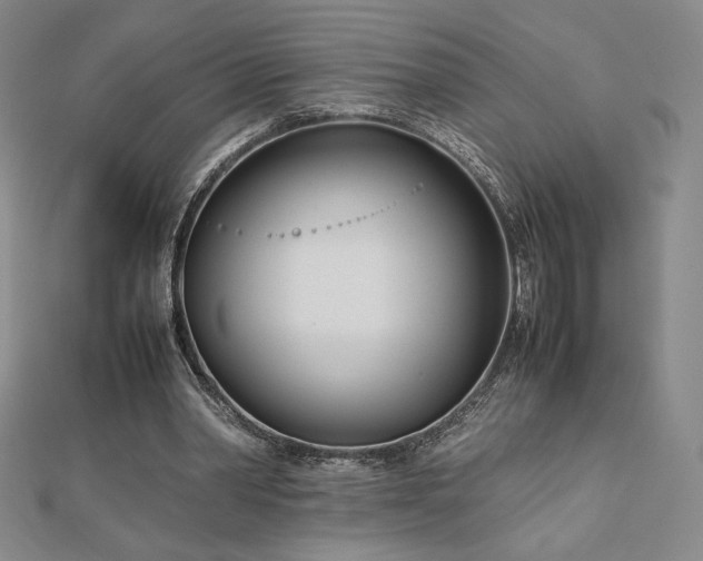 X0000113150390200909041238