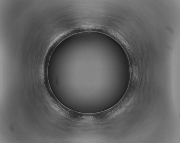 X0000113150391200909041238