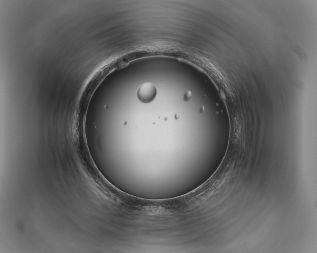 X0000113150392200909041238