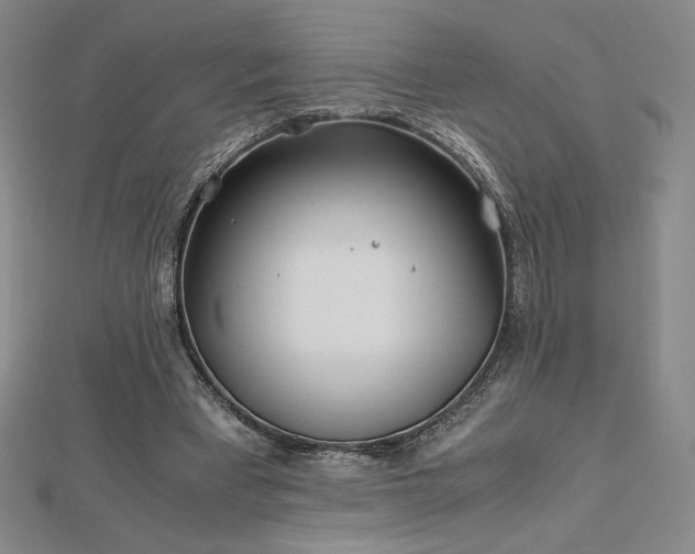 X0000113150393200909041238