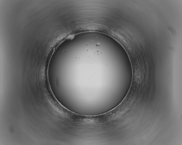 X0000113150394200909041238