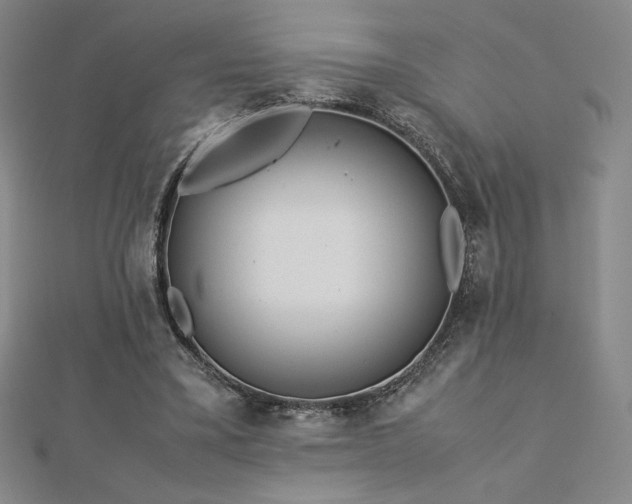 X0000113150395200909041238