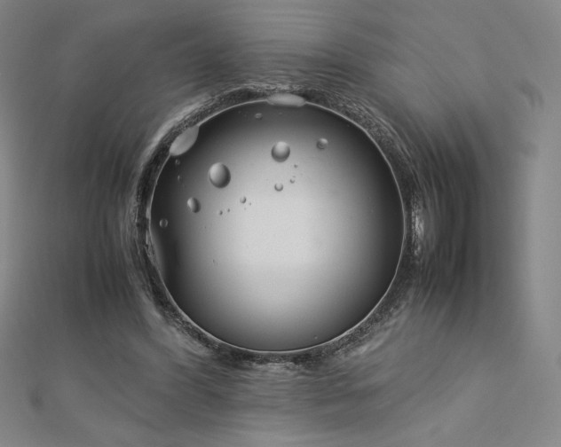 X0000113150396200909041238