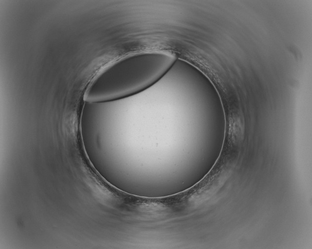 X0000113150397200909041238