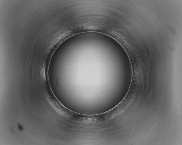 X0000113150398200909041238