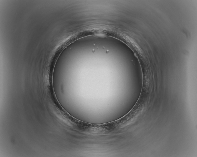 X0000113150399200909041238