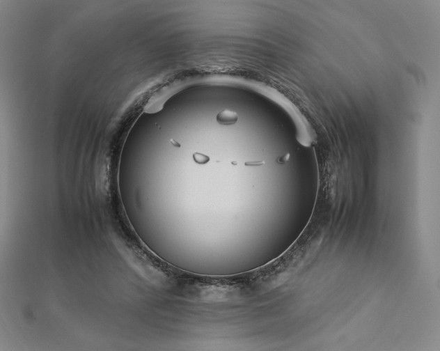 X0000113150400200909041238