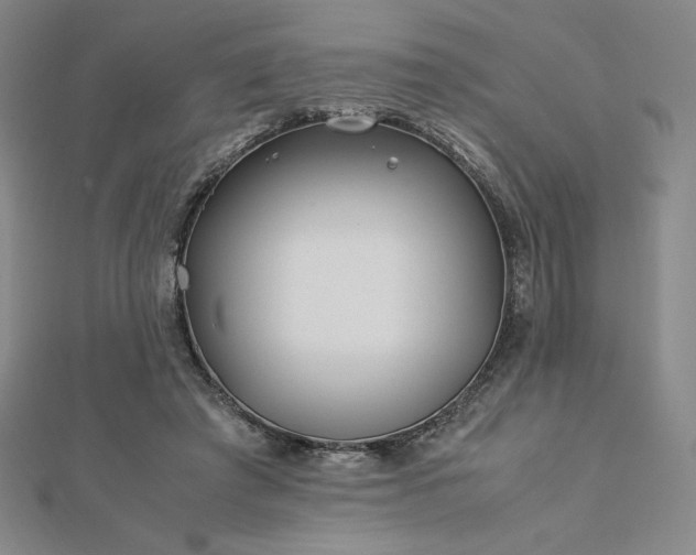 X0000113150401200909041238