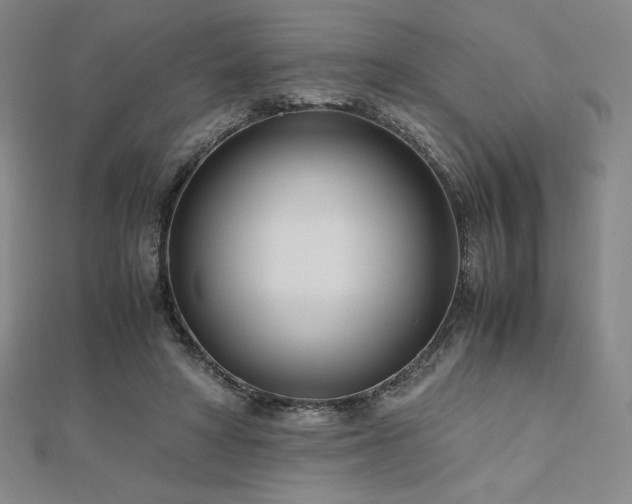 X0000113150402200909041238