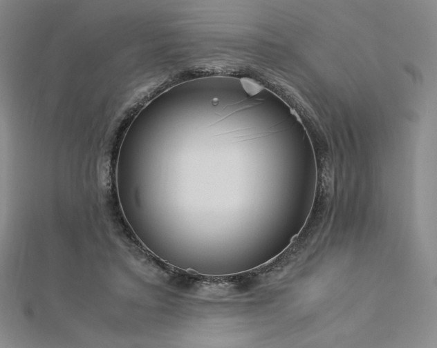 X0000113150403200909041238