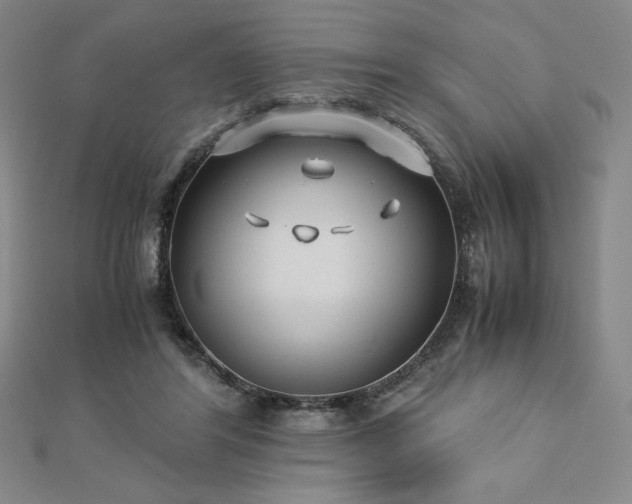 X0000113150404200909041238