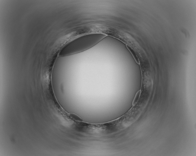 X0000113150405200909041238