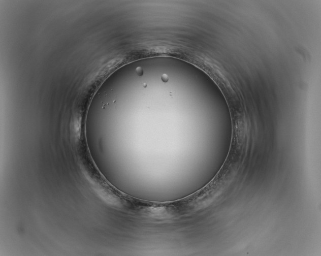 X0000113150406200909041238